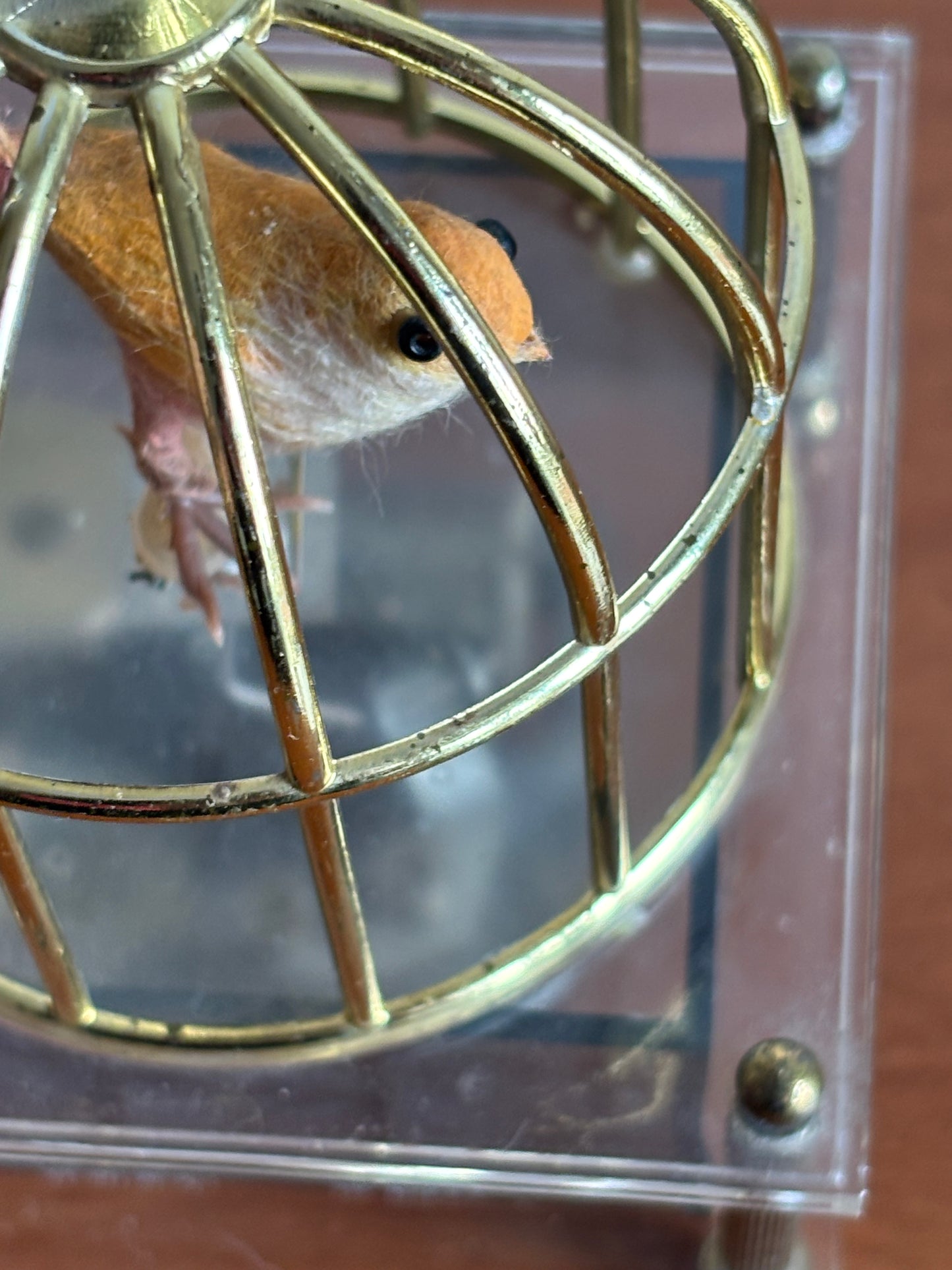 Vogel in Käfig mit Vintage‑Spieluhr