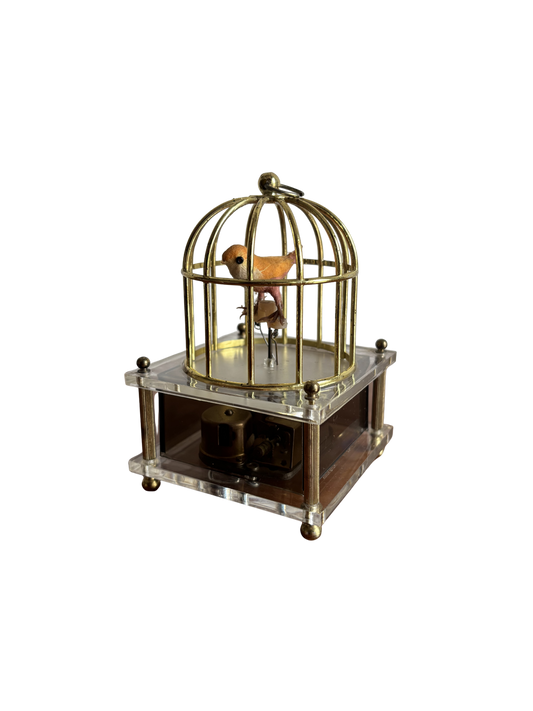 Uccellino in gabbia con carillon