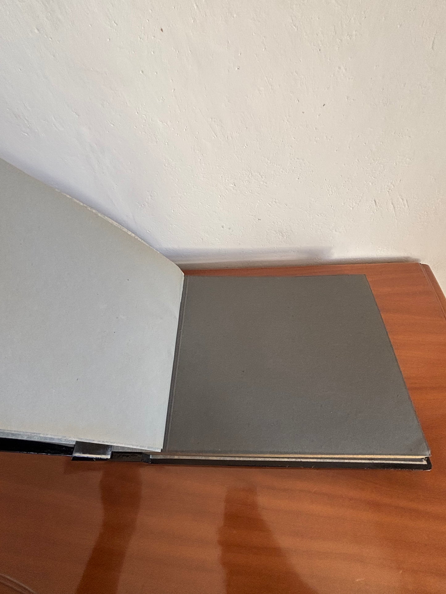 Album fotografico giapponese con carillon e iridescenze decorative