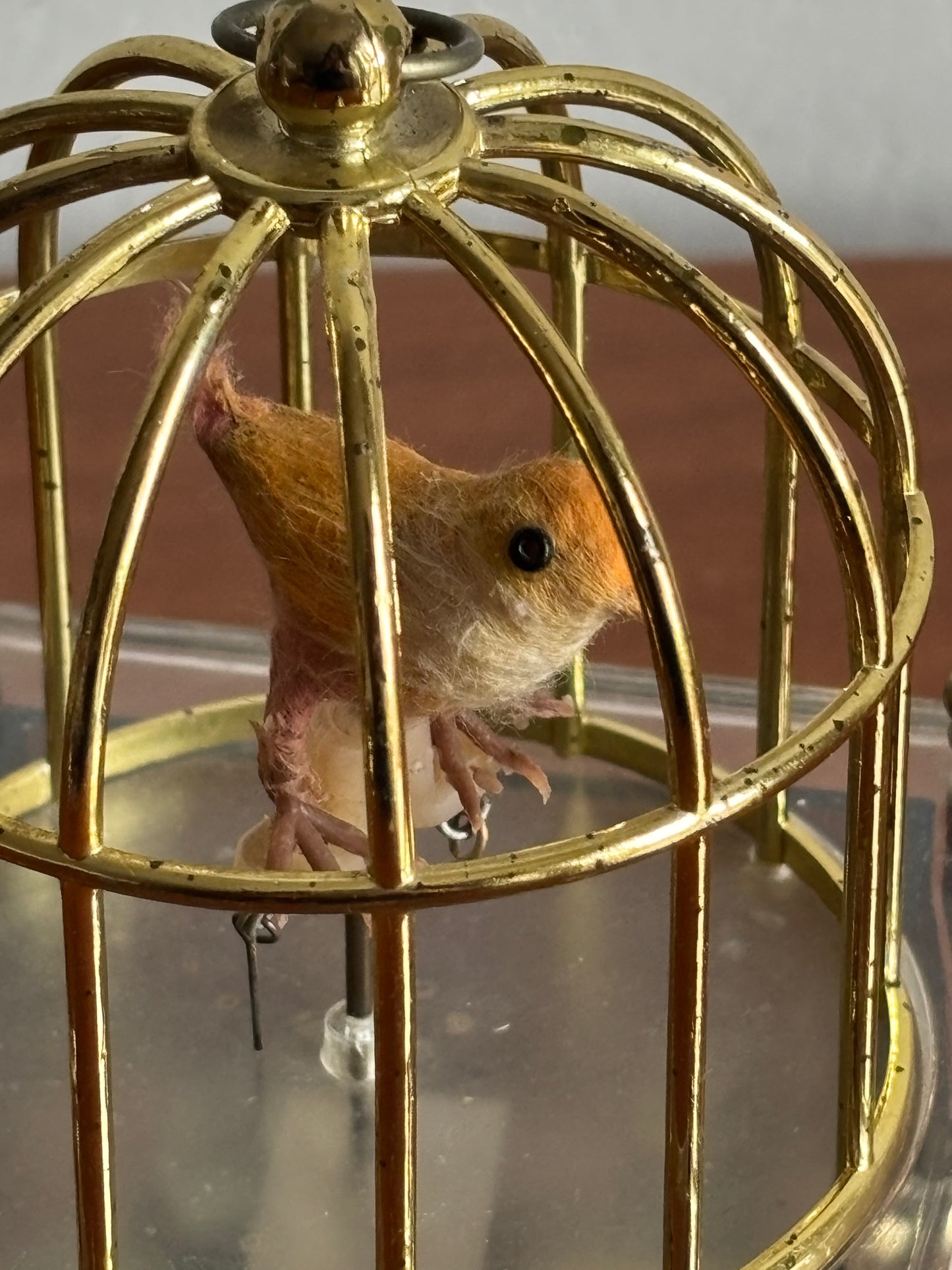 Vogel in Käfig mit Vintage‑Spieluhr
