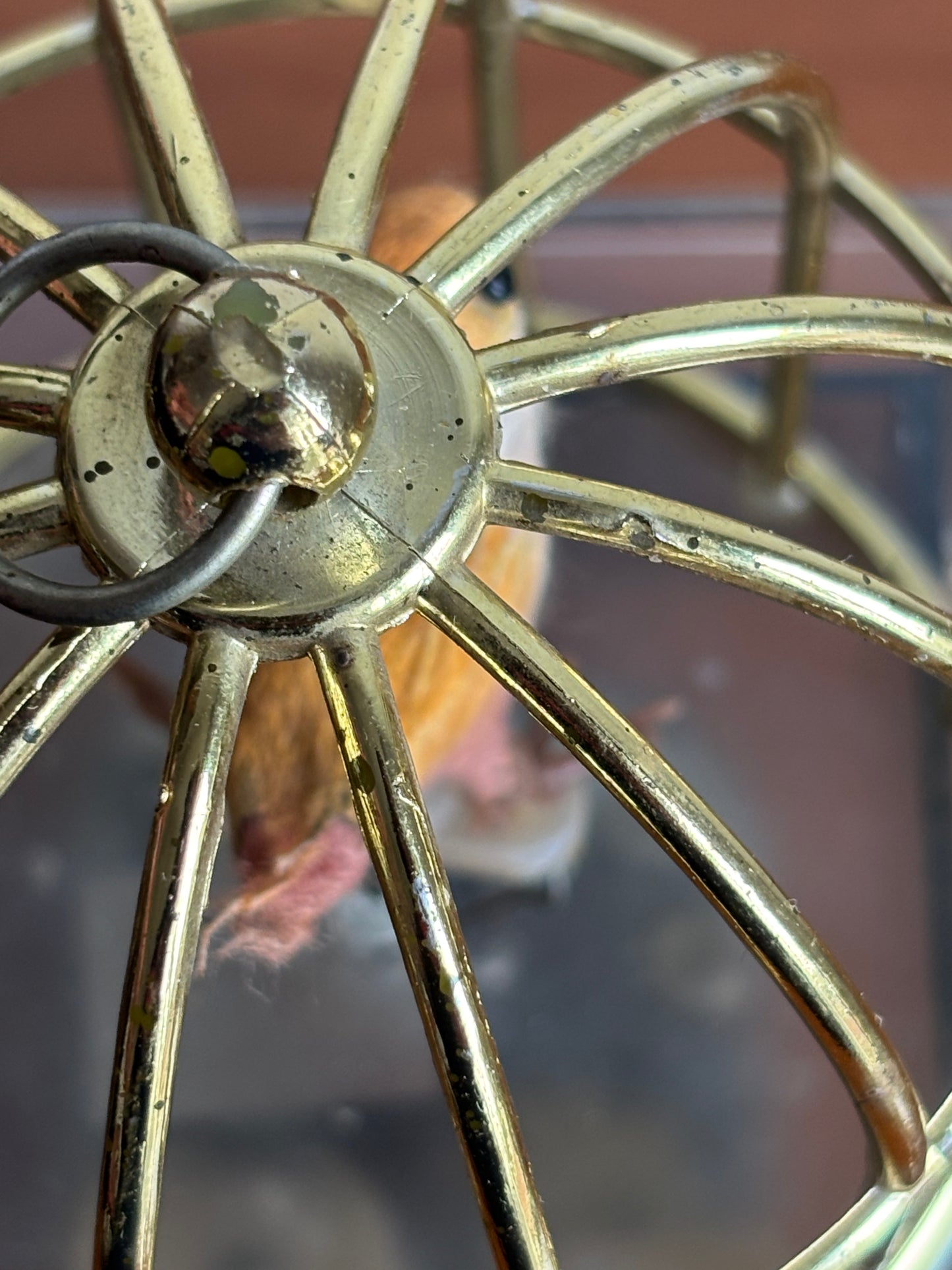 Vogel in Käfig mit Vintage‑Spieluhr