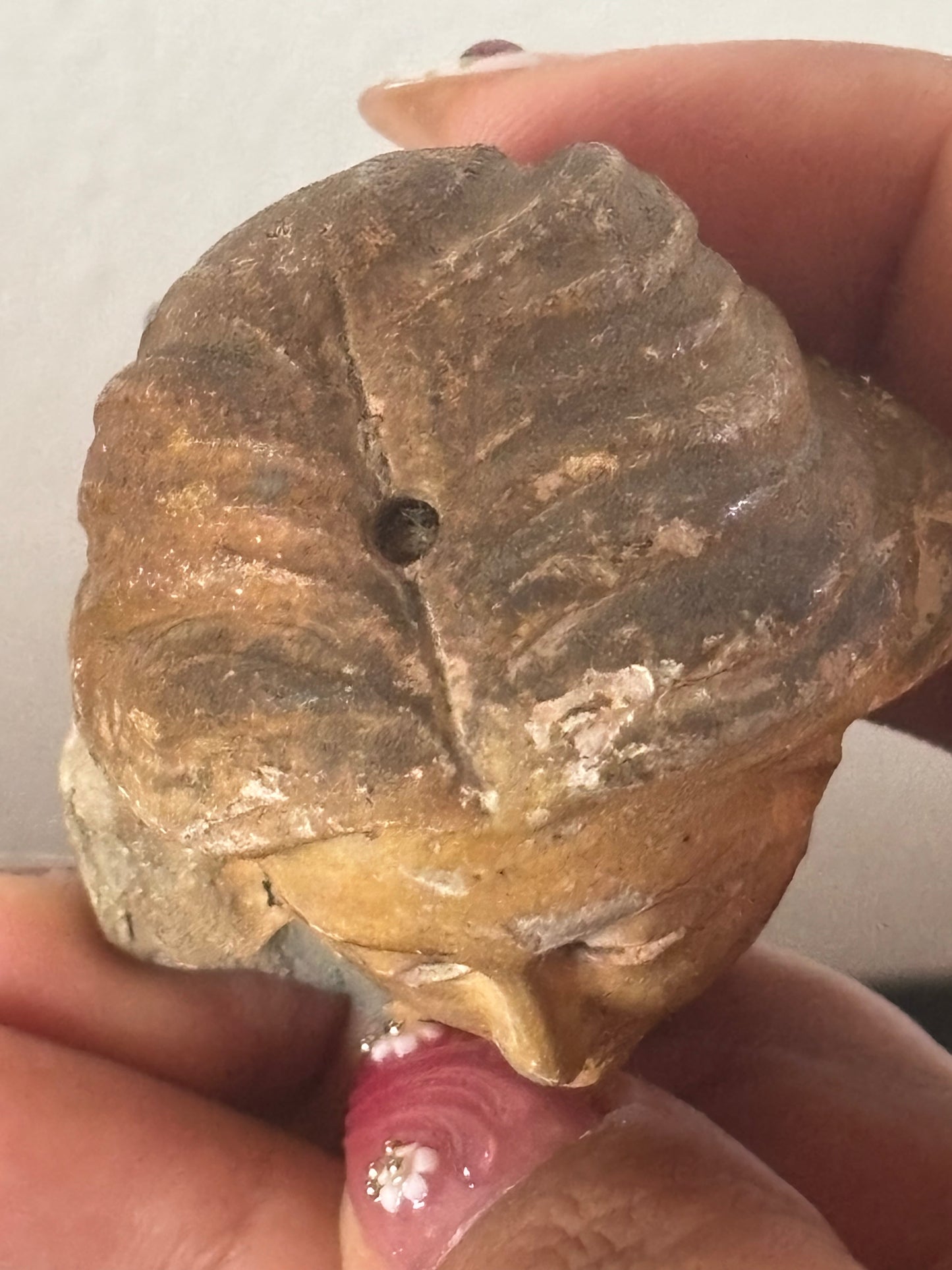 Terracotta Head of Madonna/Saint with Glass Eyes