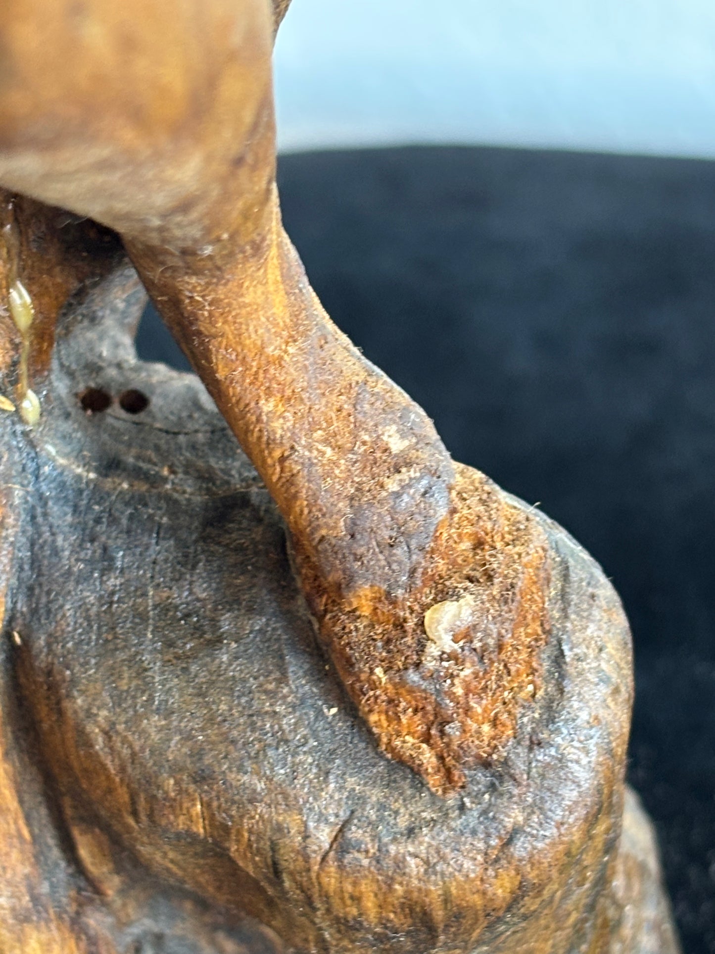 Wooden Sculpture “The Bather” – Vintage Figurative Art